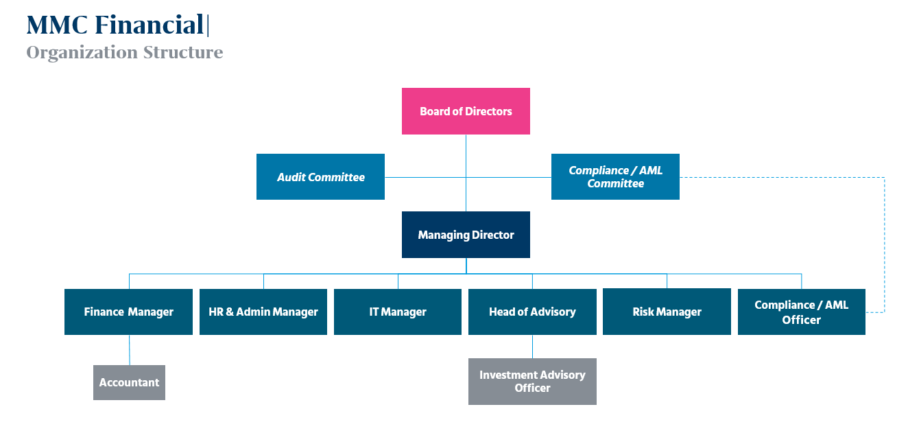 organizational structure